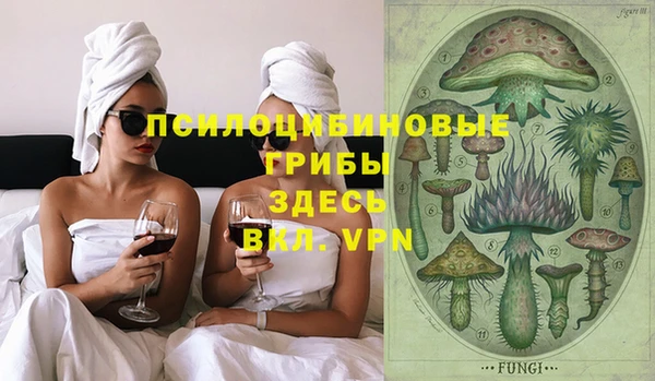 амф Абаза