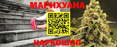 mdpv Краснознаменск