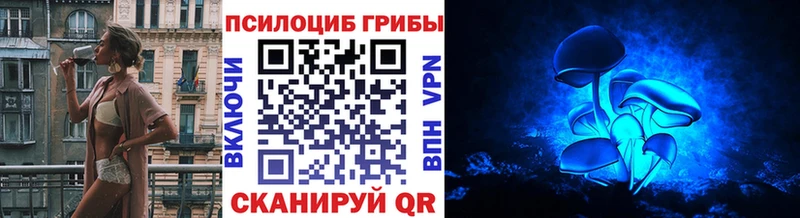 Галлюциногенные грибы GOLDEN TEACHER магазин продажи Электросталь