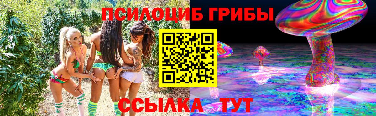 Псилоцибиновые грибы Cubensis  Вход с VPN  Электросталь 