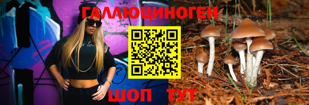 Галлюциногенные грибы мухоморы Электросталь